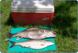 peche7_514x350