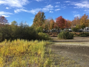 plage O oct2017