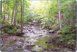 ruisseau1_514x350