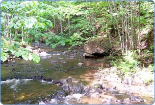 ruisseau3_514x350