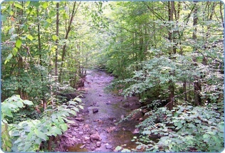 ruisseau4_514x350